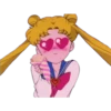 Sailor Moon 17