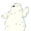 Polar 1 15