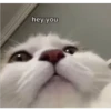 hey you