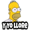 YYOLLORE
