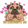 P U G   P O W E R 10