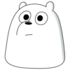Polar 1 19