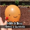 Historia de Felipe 13