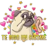 P U G   P O W E R 11
