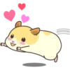 CUTE нaмSтer 23
