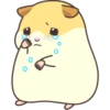 CUTE нaмSтer 24