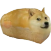 Perros Memes 26