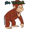 ¡De Verdad!
YVERITOY