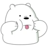 Polar 1 23
