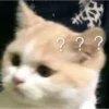 ? ??