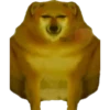 Perros Memes 27