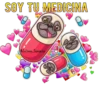 P U G   P O W E R 12