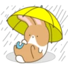 144,