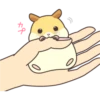 CUTE нaмSтer 26