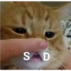 SD