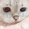 乌乌