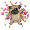 P U G   P O W E R 13