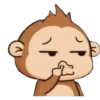 monkey 24