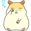 CUTE нaмSтer 27
