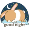 good night