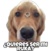 ¿QUIERES SER MI
RUKA?