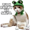TUDI
RANAY
YO
SALTO.