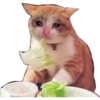 Animalitos 3 (^~^Baka~) 8