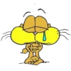 Gaturro 5