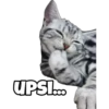 UPSI...
