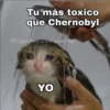 Gatitos UwU 13