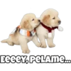 EEEEY, PELAMe...