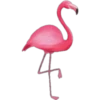 All pink 10