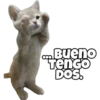 Co. Bueno
TenGo
DOS.