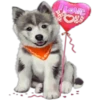 Perros y Gatos(Rose ♛) 10