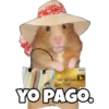 VISA
4000 0807 0620 0192
00/00-00/00
ROBERT
YO PAGO.