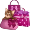 Perros y Gatos(Rose ♛) 13