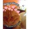Gatitos UwU 19