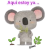 Tierno 13