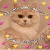 Gatitos UwU 20
