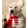Coca-Cola
no tomes awa son
mentiras del
gobierno
toma coca tkm