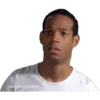 esoYCHOogomILO