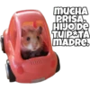 MUCHA
PRISA.
HIJO DE
TUIP TA
MADRE.