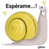 Tierno 16