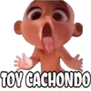 TOY CACHONDO