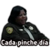 Cada pinche día