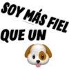 SOY MÁS FIEL
QUE UN