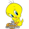 TE
ESTOY
ESPERANDO