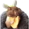 Animalitos 3 (^~^Baka~) 20