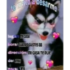 te invi
d
Jesarme
perritospostings
lugar: MICASA
hora: CUANDO GUSTES BB
dirección: MI CASA TE DIJE
de: mi
para: TI