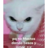 Gatitos UwU 24
